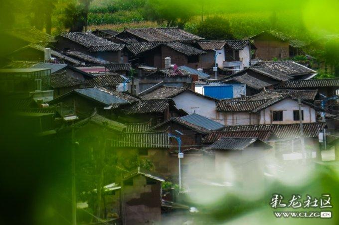 沪江开心词场