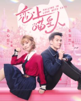 杭海城际:志愿服务队助力春运乘客便捷出行